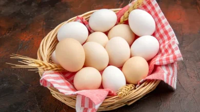 قیمت تخم مرغ