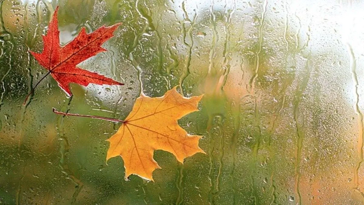 باران پاییزی