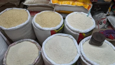 برنج ایرانی