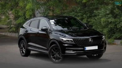 قیمت دیگنیتی