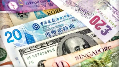 گم شدن ۷ میلیارد دلار ارز از کشور/ اختلاس یا اشتباه؟