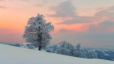 خبری بد برای ایرانیان/ زمستان سردی خواهید داشت