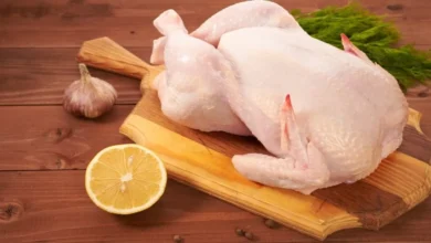 قیمت مرغ