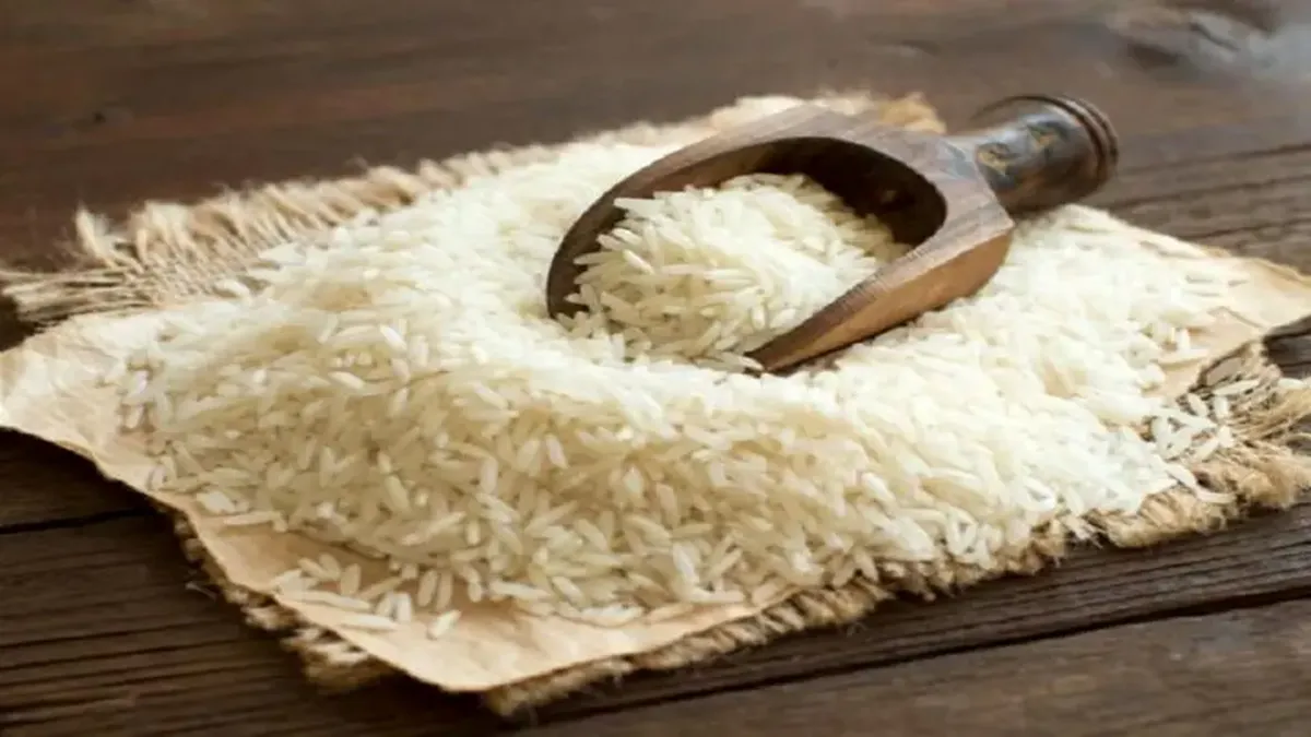 قیمت برنج پاکستانی امروز جمعه ۲ آبان ۱۴۰۴ برنج دست نیافتنی شد!