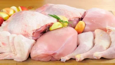 قیمت گوشت مرغ