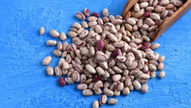 لوبیا چیتی هم از سفره‌ها جمع شد!