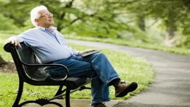 فوری: پرداخت وام ۳ میلیارد ریالی به بازنشستگان بزودی آغاز می‌شود+ جزئیات کامل تسهیلات