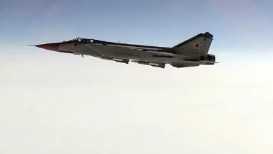 پرواز میگ ۲۹ در آسمان تهران خبرساز شد