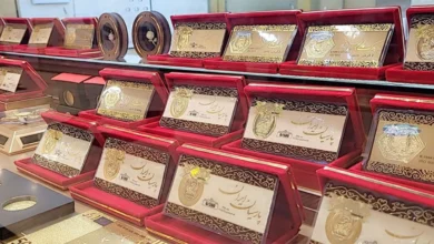 اعلام قیمت سکه پارسیان امروز سه‌شنبه ۲۰ آبان ماه ۱۴۰۴/ ثبات در این بازار ادامه دارد!