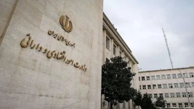 طرح بزرگ وزارت اقتصاد برای حل مشکلات اقتصادی اقشار کم درآمد رونمایی شد