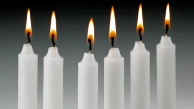 فال شمع امروز دوشنبه ۲۶ آبان ۱۴۰۴/ تقدیر امروز شما چیست؟