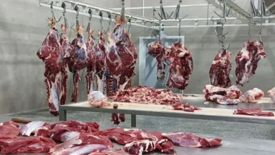 قیمت نجومی گوشت در شب عید خبرساز شد!