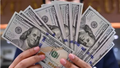 پیش‌بینی ترسناک قیمت دلار در زمستان ۱۴۰۴!