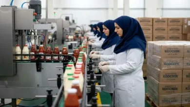 هر آنچه که باید درباره سهام کوچین بدانید