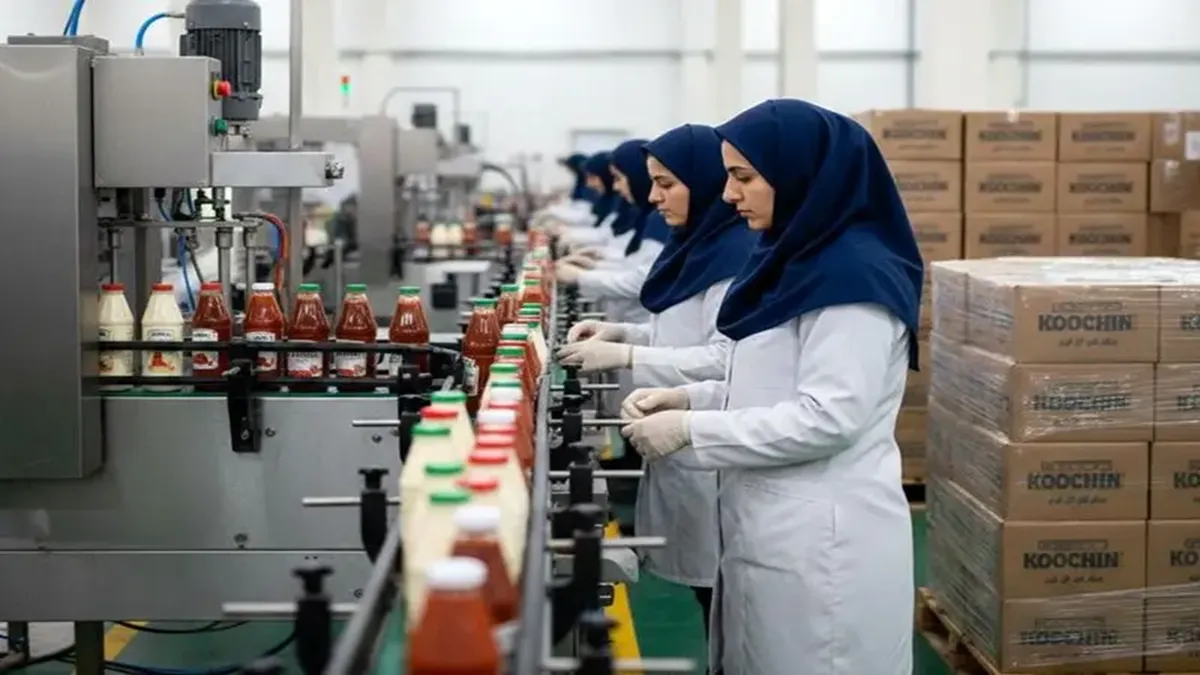 هر آنچه که باید درباره سهام کوچین بدانید